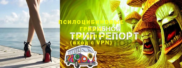 прущая мука Бородино