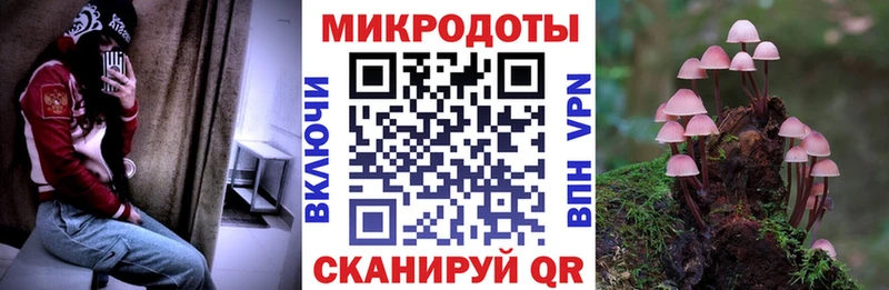 купить закладку  Среднеуральск  Псилоцибиновые грибы ЛСД 