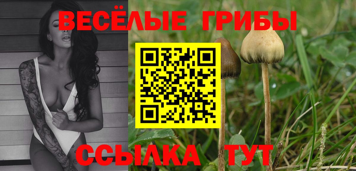 Псилоцибиновые грибы прущие грибы  Вход с VPN  Среднеуральск  Псилоцибиновые грибы мицелий 